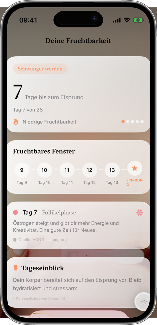 Deine beste Chance, jeden Tag