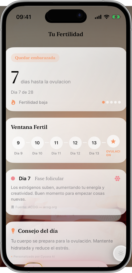 Tu mejor oportunidad cada día