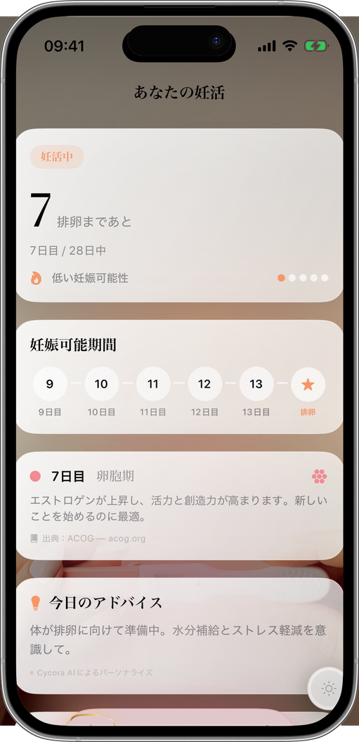 毎日、最良のチャンスを