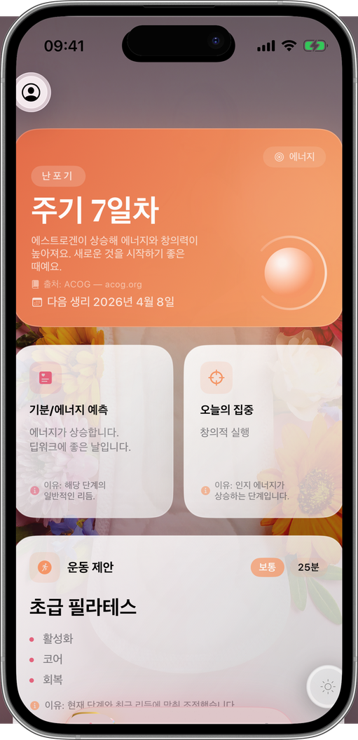 매일 단계에 완벽하게 맞춰진
