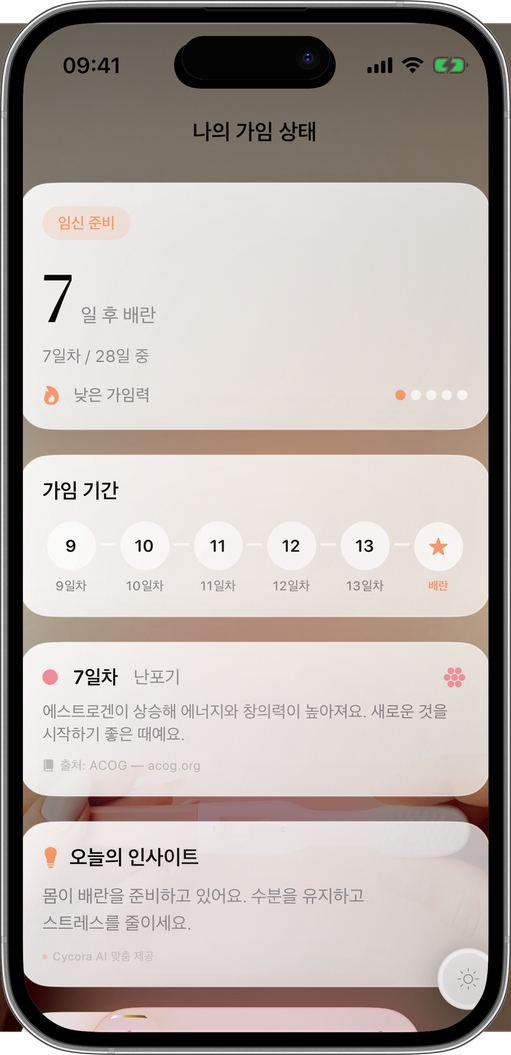 매일 최고의 기회를