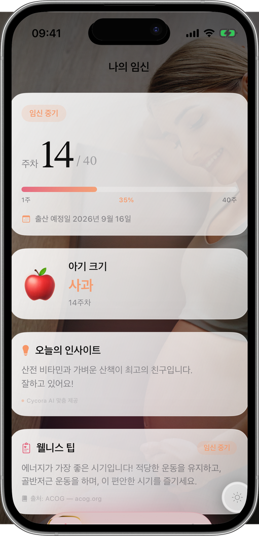 주마다, 당신과 함께